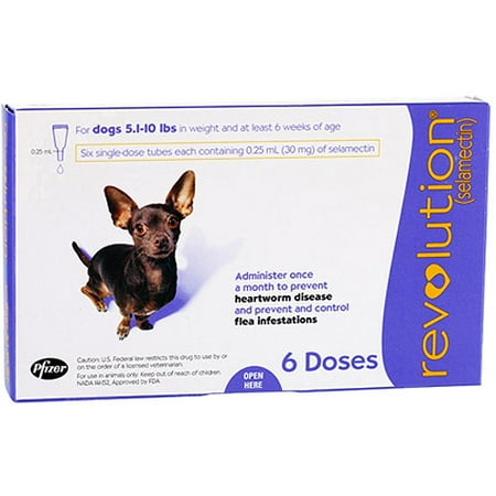 Heartworm medication for dogs revolution