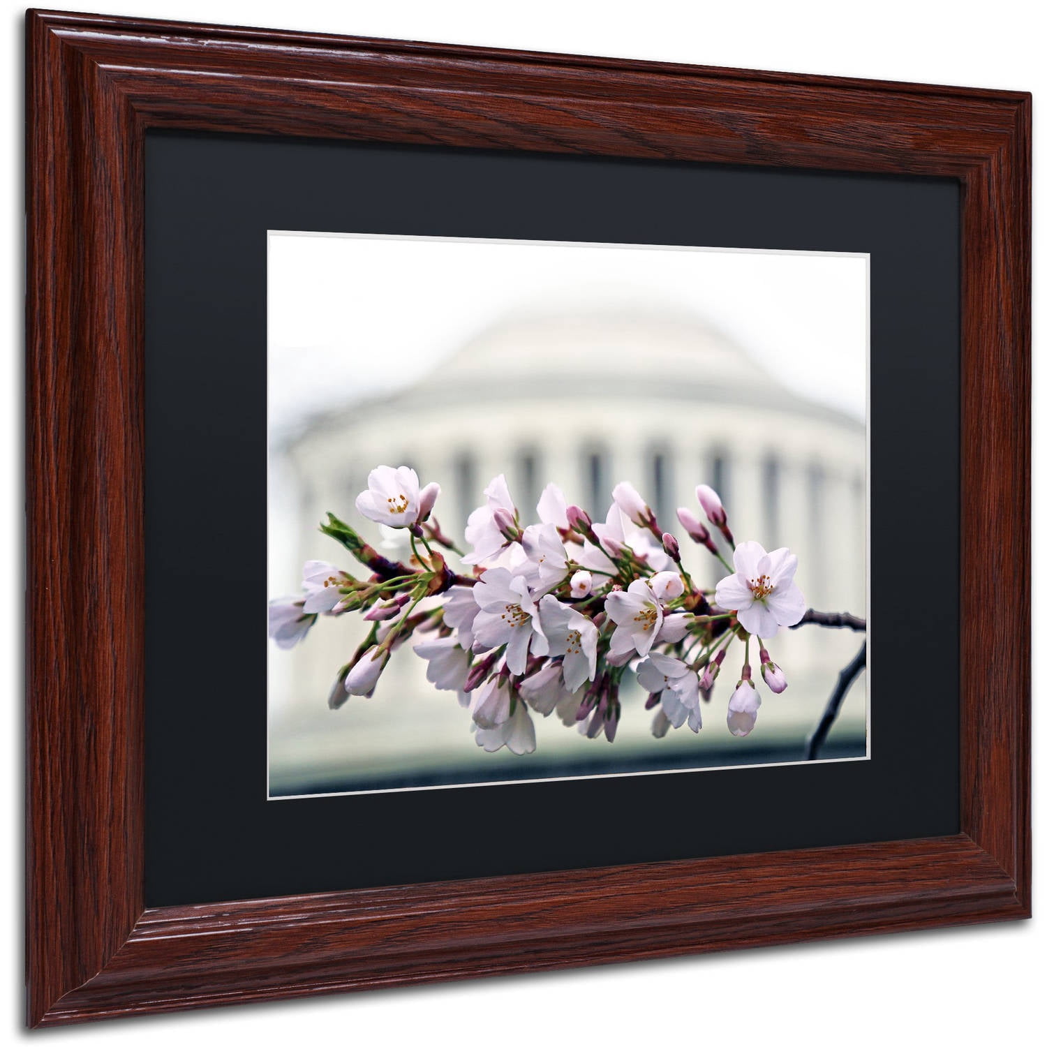 Trademark Fine Art "Jefferson Memorial Blossoms" Canvas Art by CATeyes, Black Matte, Wood Frame