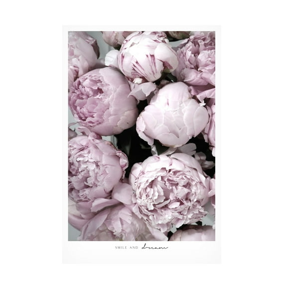 Trademark Fine Art Rosana Laiz Blursbyai Smile and dream peonies Canvas Wall Art