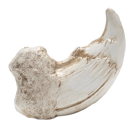 Resin Art Realistic Fossils Replicas For Home Decor And Ideas