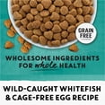 thumbnail image 3 of Purina Beyond Grain Free Wholesome Ingredients Dry Indoor Cat Food, Whitefish & Egg, 3 lb Bag, 3 of 11