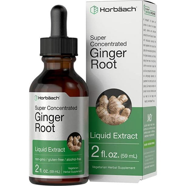 Ginger Root Liquid Extract 2 oz Vegetarian & Alcohol Free by