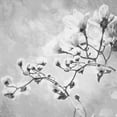 thumbnail image 2 of Villa, Milli 20x20 White Modern Wood Framed Museum Art Print Titled - Tree of White Flowers BW 1, 2 of 4