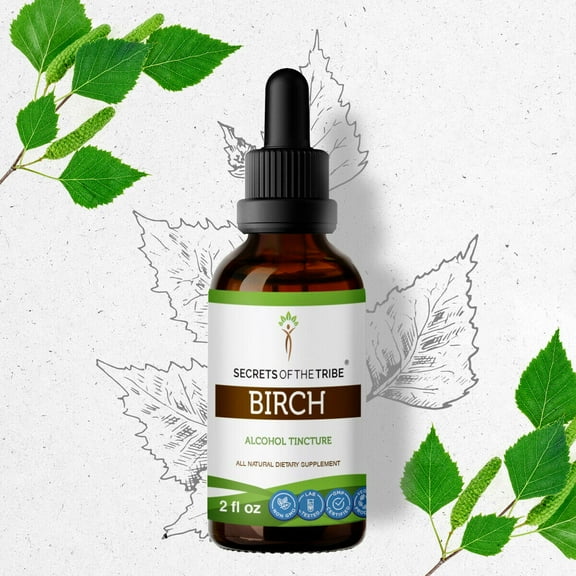 Birch Tincture Alcohol Extract, Organic Birch (Betula Pendula) Dried Leaf 2 oz