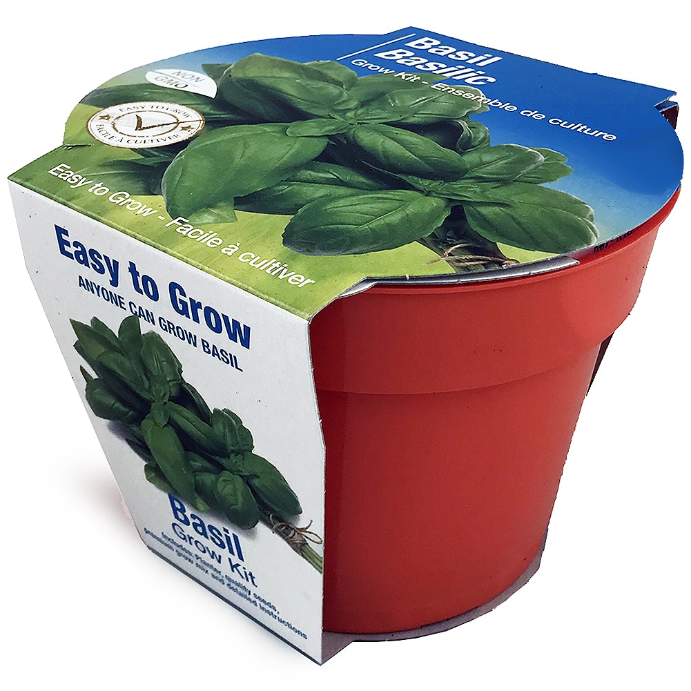 Basil Grow Kit