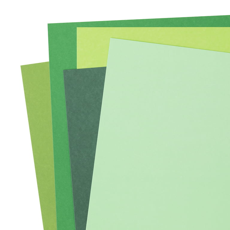 Cardstock in Paper  Multicolor 
