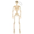 thumbnail image 1 of Miangastore Realistic Skeleton Model White 1Set 14.6X3.5X3.5In For Parties, 1 of 8