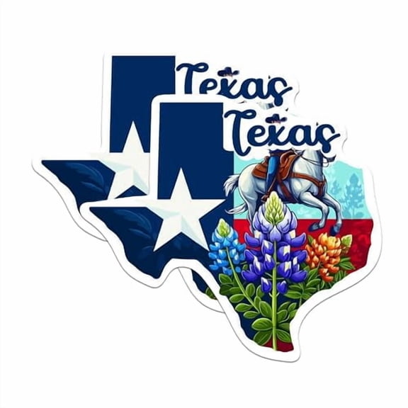 (2 Pack) Texas State Shape Magnets - TX State Magnet - Choose from 50 States - 5" On Longest Side - Premium Magnet - for Cars, Refrigerators, Toolboxes - Made in USA - MAG1285