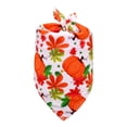 thumbnail image 2 of Pet Supplies for Dogs, Dog Thanksgiving Outfit, Adjustable Pet Scarf, Fall Pet Accessory, 16X11 Inch S Size Pet Neckerchief That Doubles As A Pet Bib, Lightweight Pumpkin Maple, 2 of 8