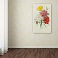thumbnail image 4 of Trademark Fine Art "Carnations from Choix" Canvas Art by Joseph Redoute, 4 of 4