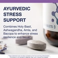 thumbnail image 3 of Metagenics Exhilarin - Energy & Stress Tolerance Support* - With Ashwagandha, Holy Basil, Amla & Bacopa - Designed in Style of Ayurvedic Medicine - 60 Tablets, 3 of 7