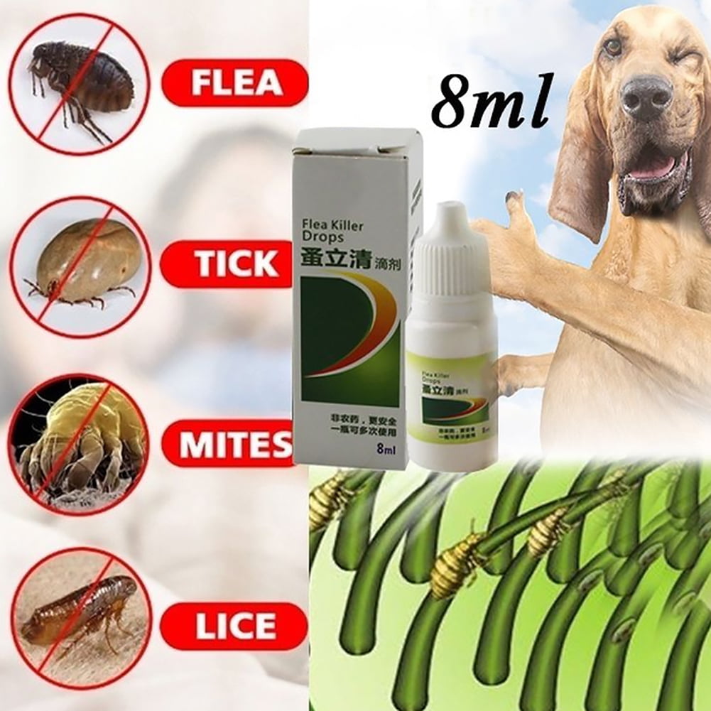Essen 8ml Pet Dog Cat Puppy Anti Fleas Lice Ticks Mosquitoes Treatment Drop Liquid Walmart