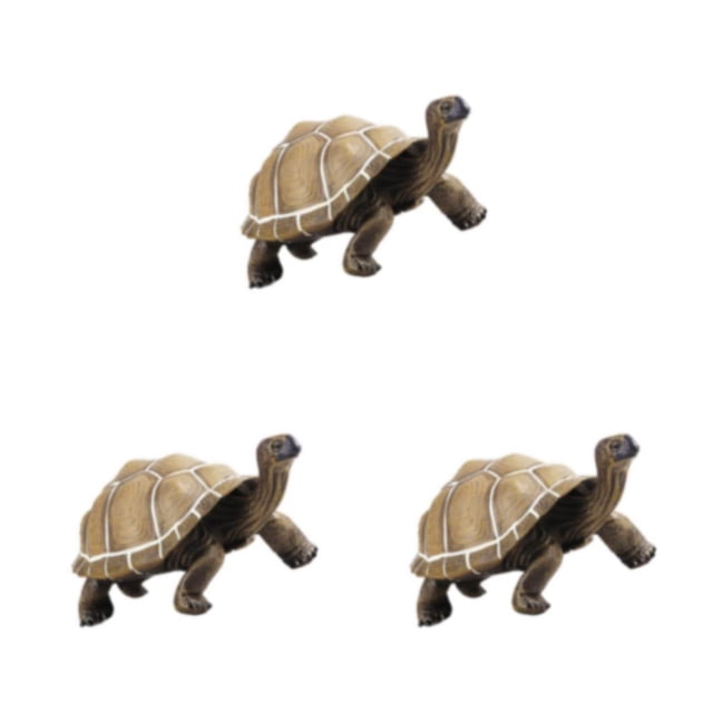Guardoinrt Modèle Animal Tortue Jouet Animal Solide Simulé Mini Mode pour Aides Pédagogiques Type 2 3Ensemble