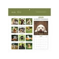 thumbnail image 5 of 2025 Hanging Wall Calendar, Puppies, 12x12 by Blue Sky, 5 of 6