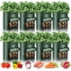 thumbnail image 1 of Zhuge Bolsas para cultivo de patatas, 10 galones, 8 paquetes, bolsas de cultivo gruesas y resistentes con ventana y asas (verde oscuro), 1 of 5