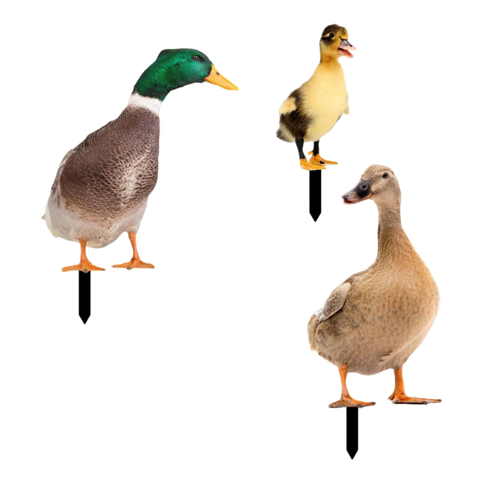 3Pcs Duck Animal Statue Stakes, Garden Stakes Decorative, Floor Decoration Ornaments, Duck Garden Statue for Porch Patio Yard Art Sculpture