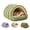 Green, variant on Cave Dog Bed, Indoor Cat Bed Cave Style Cozy Hideaway with Removable Washable Cover & Anti‑Slip Base Pet Nest for Cats and Dogs