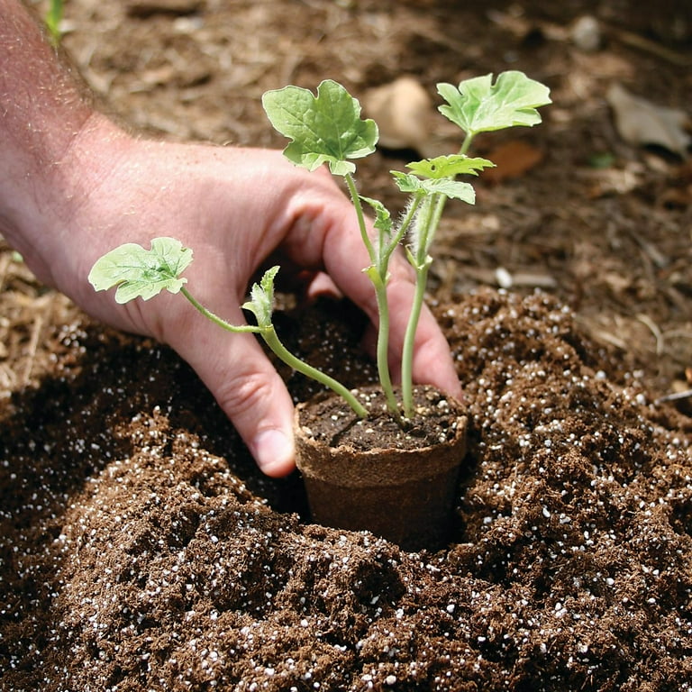 Ferry-Morse Seed Starting Kit with 3-inch Plantable Fiber Pots