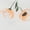 101 Off White, variant on Petit Lem Baby Girl 4 Piece Short Set - Off White