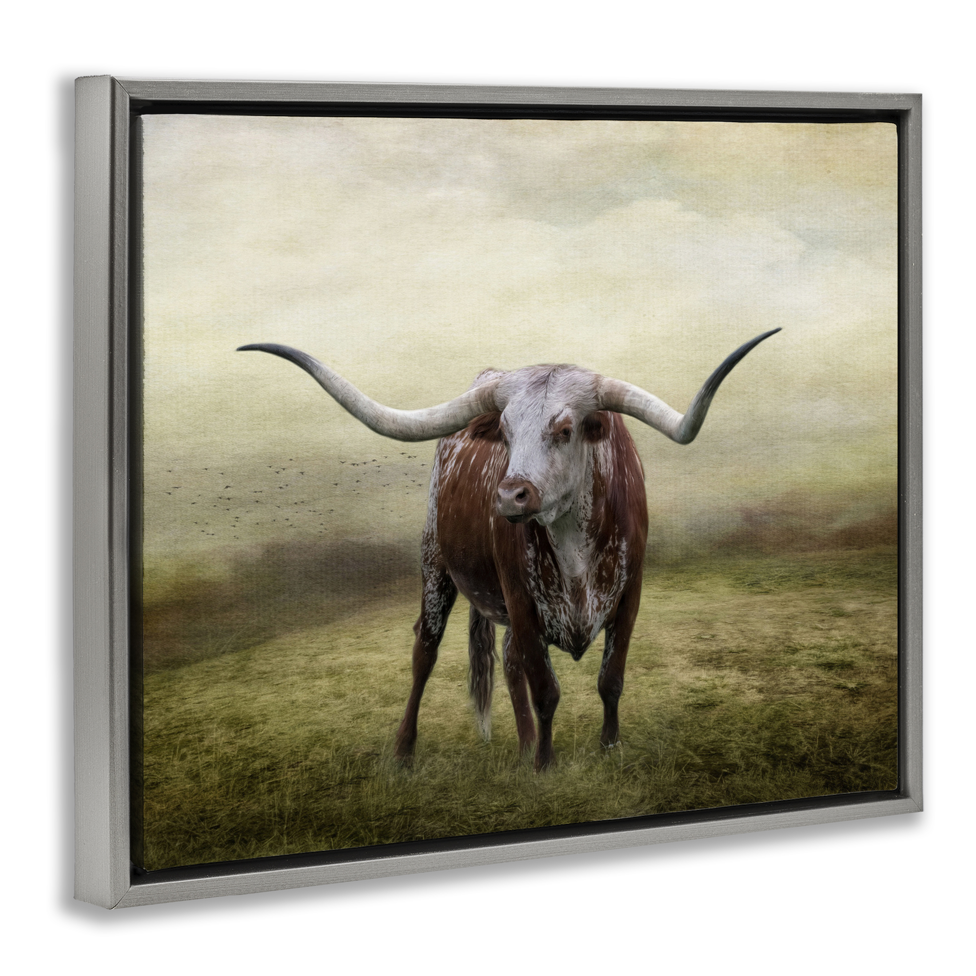 Stupell Industries Pride Of The Longhorn Animals & Insects Photography Gray Floater Framed Canvas Art Print Wall Art, 31 x 25