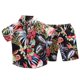 thumbnail image 1 of Odeerbi 1-6 Años Conjunto de Verano Para Niños Hawaiano Camisa de Manga Corta de Algodón Estampado Tropical Conjunto Corto Camisa Gráfica Conjunto de Dos Piezas, 1 of 4
