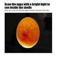 thumbnail image 1 of Touch Switch Fabric Integrally Formed Egg Candling Lamp, Quail Egg Candler, Hamster For Rabbit Red, 1 of 8