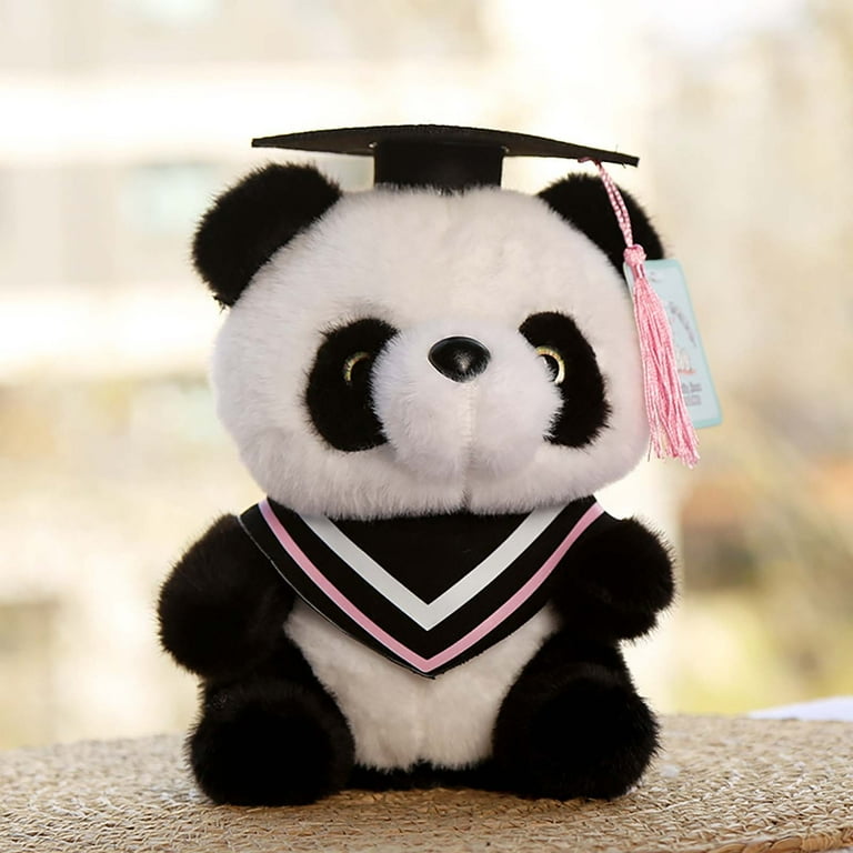 RUIG 2025 Graduation Gifts Plush Bear 10 Inch Stuffed Animal