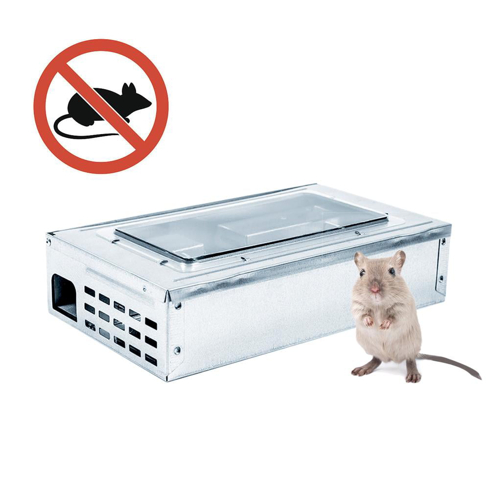 Box Trap for Mice-LIFE FISHING 12 x 5 x 5 cm 70443 