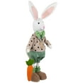 thumbnail image 4 of Northlight Polka Dot Boy Rabbit with Carrot Standing Easter Figure - 18", 4 of 5