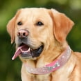 thumbnail image 4 of CHOK Dog Collar  Cat Collar  Rhinestone Bow Pet Collar  Pink  XS, 4 of 6