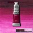 thumbnail image 3 of Pintura Óleo Winton 37ml Colores Serie 1 Siena Tostada #2 Winsor & Newton multicolor SIN TAMAÑO, 3 of 3