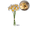 Beige, variant on Artificial Daffodil Bouquet - Elegant Home Decor & Table Centerpiece for Weddings, Living Rooms, and Special Events, Pack of 2