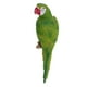 thumbnail image 2 of 20 tipos de figuras de loros grandes de resina, juguetes para niños y hogar. 38cm Verde, 2 of 8