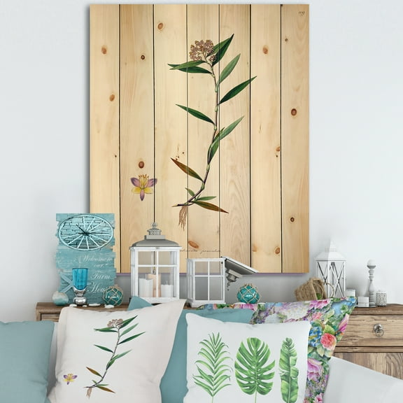 Designart 'Ancient Botanicals XIX' Farmhouse Print on Natural Pine Wood