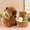 C, variant on 2026 New Plush Capybara Toys, Hand-crocheted Animal Toys, Woolen Crochet, Thread Knitting Positive Energy Cute System, Christmas Stuffed Animals Toys for Boys Girls Back to School Gifts