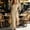 Khaki, variant on QUNYINEY Short Sleeve Womens Dresses Casual Cotton Long Summer A Line Dress Loose Fit Square Neckline Slit with Pockets Solid Dresses