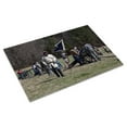 thumbnail image 3 of Print: Reenactment Of Civil War Siege Of April 1862, Bridgeport, Alabama, 3 of 4