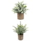thumbnail image 1 of 2 piezas de plantas artificiales en maceta para interiores, bodas Pequeño Eucalipto+Eucalipto, 1 of 9