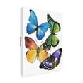 thumbnail image 2 of Melissa Wang 'Butterfly Swatches II' Canvas Art, 2 of 3