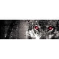 thumbnail image 3 of Villa, Milli 14x7 Black Modern Framed Museum Art Print Titled - Wolf Eyes, 3 of 5