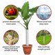 thumbnail image 4 of 6 PCS Tree Trunk Protector, Plastic Spiral Tree Guard-Tree Bark Protector Tube Wraps to Protect Sapl, 4 of 5