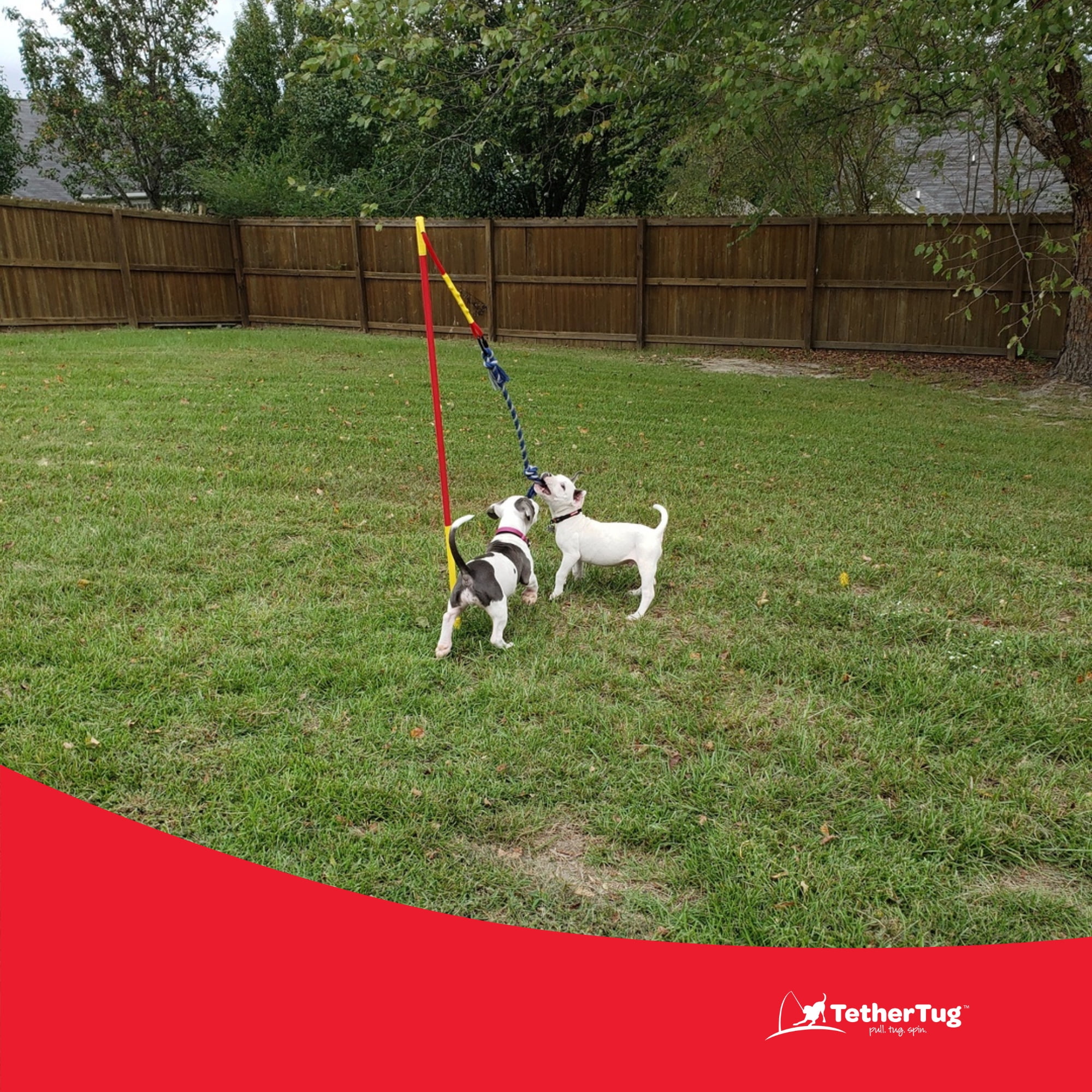 Tether Tug Interactive Pole Rope Toy for Medium Dogs Under 70 Pounds