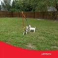 thumbnail image 6 of Tether Tug Interactive Pole Rope Toy for Medium Dogs Under 70 Pounds, 6 of 11