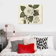 thumbnail image 5 of Orinice Vintage Japanese Snowball Flower Illustration - Classic Botanical Poster, Home and Graden Decoration, Cottagecore Room Decor, Vintage Flower Wall Display Gift,  16x12in, 5 of 6