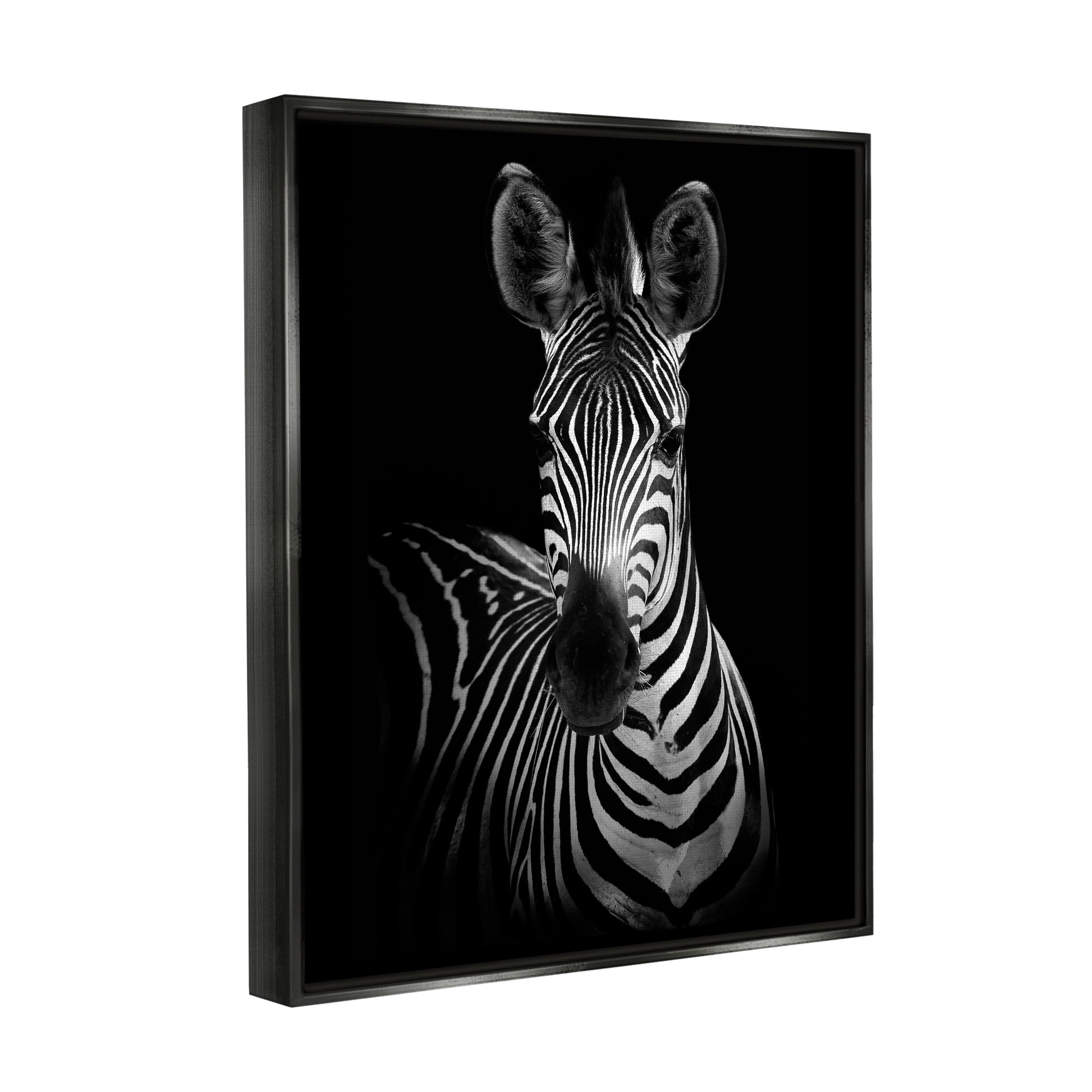 Stupell Industries Striking Greyscale Monochrome Zebra Photography Portrait Jet Black Framed Floating Canvas Wall Art, 16x20, by Incado