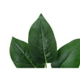 thumbnail image 5 of Artificial Plant - 17" Tall - Aureum - Indoor - Table - Potted - Green Leaves, 5 of 6