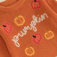 thumbnail image 5 of Okbabeha Toddler Baby Girl Boy Knit Sweater Pumpkin Long Sleeve Pullover Crewneck Sweatshirt Fall Halloween Baby Clothes, 5 of 7