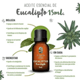 thumbnail image 2 of Aceite Esencial De Eucalipto 100% Puro Y Orgánico 15ml, 2 of 5