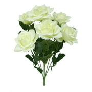 Rose Bush White