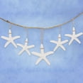 thumbnail image 4 of 75 Pieces Creamy-White Pencil Finger Starfish for Wedding Decor, Home Decor and Craft Project, 4 of 6